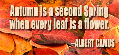 Autumn quote